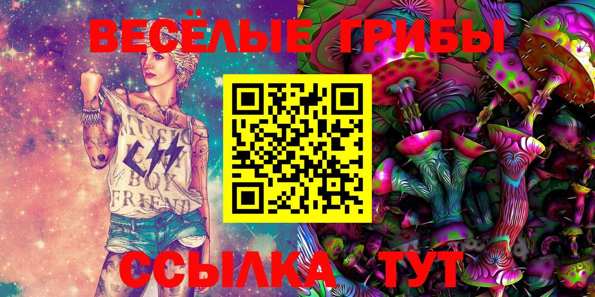 Псилоцибиновые грибы Psilocybe  Вход с VPN  Солнечногорск 