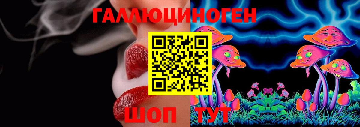 Галлюциногенные грибы Psilocybine cubensis Солнечногорск